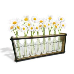 8'li Ahşap Standlı Cam Şişe Saksı Seti HK0465