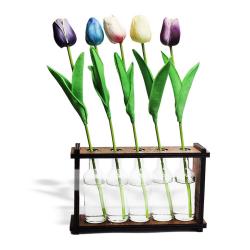 5'li Ahşap Standlı Cam Şişe Saksı Seti HK0464