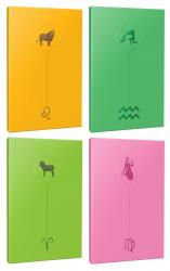 4lü Burç-Astroloji Temalı 13,5x19,5cm 64 Sayfa Çizgisiz Defter Seti -10