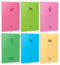 6lı Burç-Astroloji Temalı 13,5x19,5cm 64 Sayfa Çizgisiz Defter Seti -9