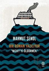 Bir Roman Yazılıyor