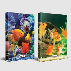 Sevimli Hayvanlar Defter Deniz Sakinleri ve Balık Ailesi