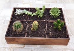 6 Göz Ahşap Çiçeklik HK0217