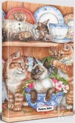 Evin Kedileri - Planlama Defteri