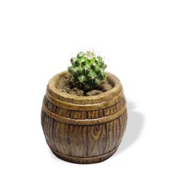 Fıçı Beton Saksı - Ahşap Rengi HK1535-AHŞP