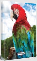 Gökkuşağı - Süresiz Planlama Defteri