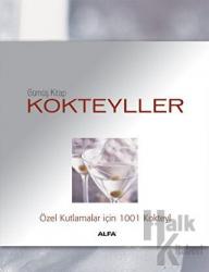 Gümüş Kitap Kokteyller (Ciltli) Özel Kutlamalar İçin 1001 Kokteyl1