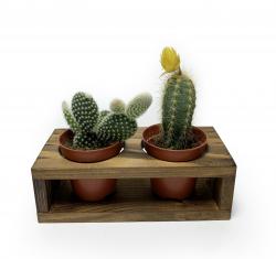 2'li Ahşap Sukulent Standı HK0213