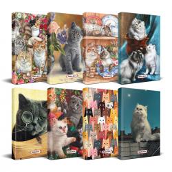 Kedi Temalı Süresiz Planlama Defter Seti - 8 Defter