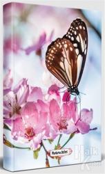 Kelebek Etkisi - Süresiz Planlama Defteri