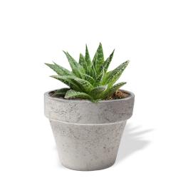 Klasik Beton Saksı HK1541