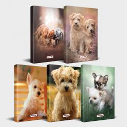 Köpek Temalı Defter Seti 5'li v1