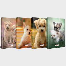 Sevimli Köpekler 4'lü Planlama Defteri Seti