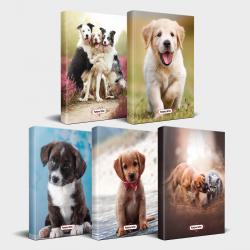 Köpek Temalı Defter Seti 5'li v2