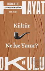 Kültür Ne İşe Yarar?