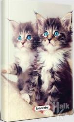 Maviş Kediler - Planlama Defteri