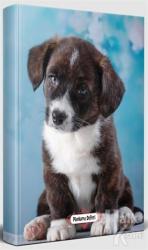 Minik Arkadaş - Süresiz Planlama Defteri