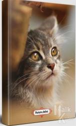 Minik Kedi - Planlama Defteri