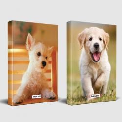 Köpek Temalı Defter Seti Pamuk Şeker ve Mutlu Prens