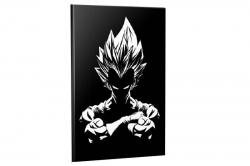 Planma Defteri Dragonball Anime-Manga