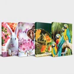 Sevimli Hayvanlar Defter Seti 4'lü v4