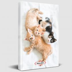 Oyuncu Kedi Planlama Defteri