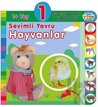 1+ Yaş Sevimli Yavru Hayvanlar (Ciltli)