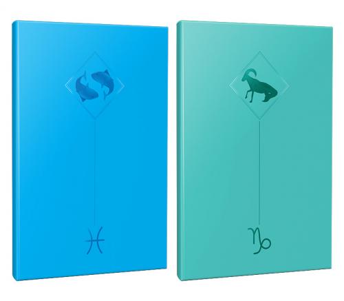 2li Burç-Astroloji Temalı 13,5x19,5cm 64 Sayfa Çizgisiz Defter Seti -7