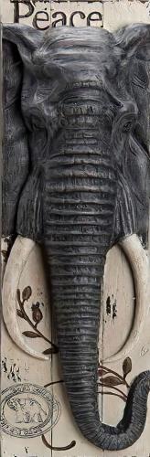 Wıldlıfe 4'lü Tablo - Halkkitabevi