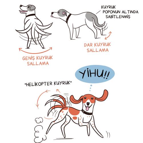 Kedi Dili ve Köpek Dili - Kartpostal - Ayraç - Aşı Takip Kartı - İkili
