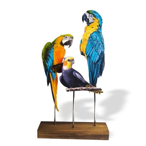 Ahşap Ayaklı Renkli Kuşlar Model 5