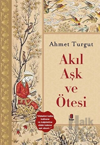 Akıl Aşk ve Ötesi
