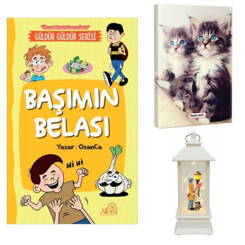 Başımın Belası - Maviş Kediler Planlama Defteri ve Sokak Lambalı Aşk Fener Tipi Işıklı Kar Küresi