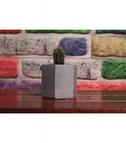 Küçük Altıgen Beton Saksı - Halkkitabevi