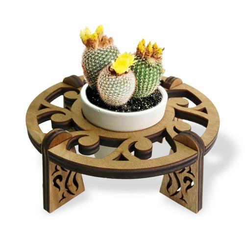 Beton Saksılı Circle Desenli Stand Model 1 - Halkkitabevi