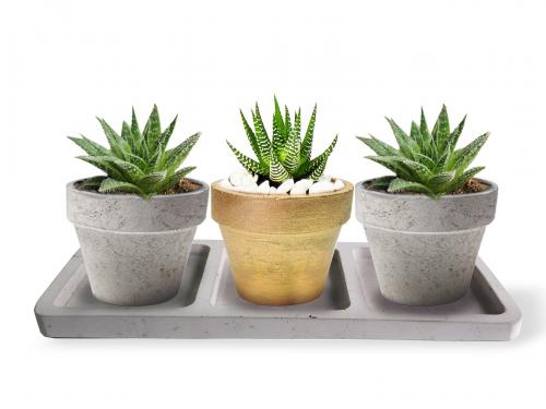 Beton Tepsili 3'lü Konik Beton Saksı Seti - Halkkitabevi