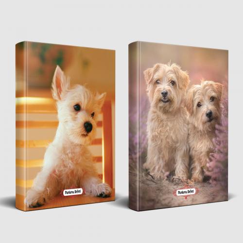 Köpek Temalı Defter Seti Beyaz İkili ve Pamuk Şeker