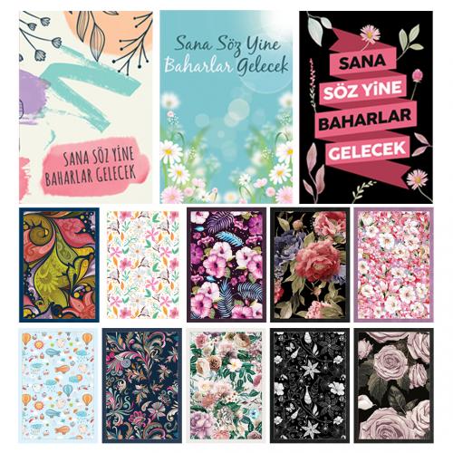 Çizgili Defterler 13ü Bir Arada