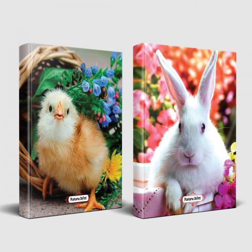 Sevimli Hayvanlar Defter Civciv ve Beyaz Pamuk