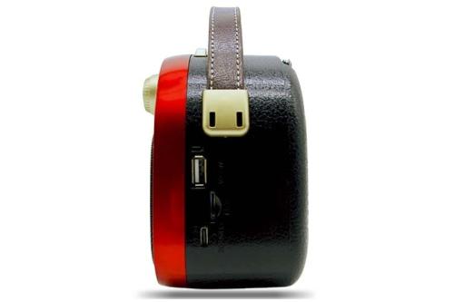 Crownwell Taşınabilir Bluetooth Retro Radyo Arizona Serisi (Metalik Kı