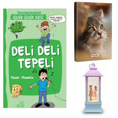 Deli Deli Tepeli - Minik Kedi Planlama Defteri ve El Ele Aşk Fener Tipi Işıklı Kar Küresi