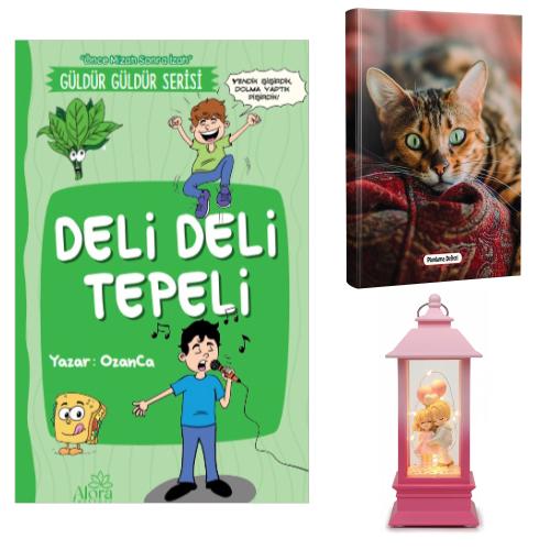 Deli Deli Tepeli - Şaşkın Kedi Planlama Defteri ve Balonlu Aşıklar Fener Tipi Işıklı Kar Küresi