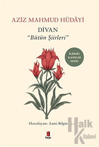 Divan - "Bütün Şiirleri"