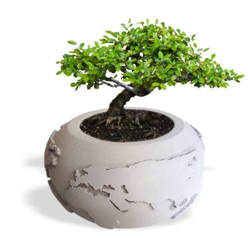 Dünya Desenli Beton Saksı Büyük Boy - Halkkitabevi