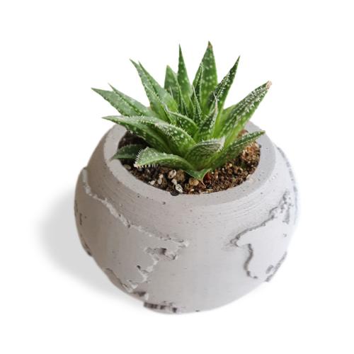 Dünya Desenli Beton Saksı Küçük Boy