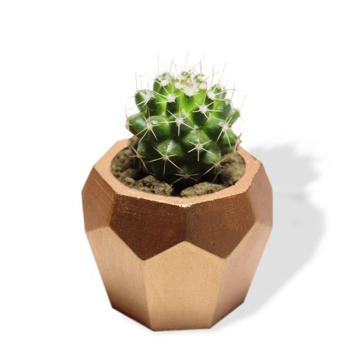 Elmas Beton Saksı - Bakır