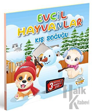Evcil Hayvanlar Kış Soğuğu