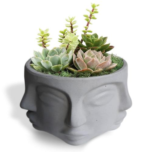 Faced Beton Saksı, Büyük Boy