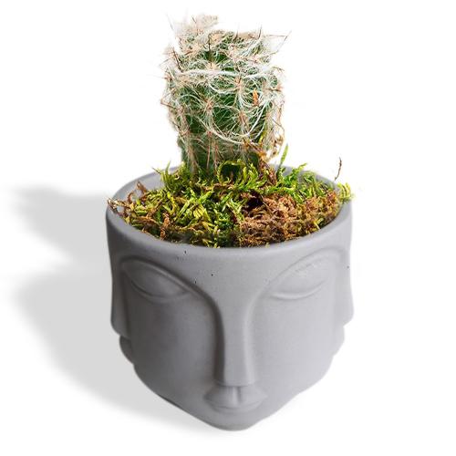 Faced Beton Saksı, Orta Boy