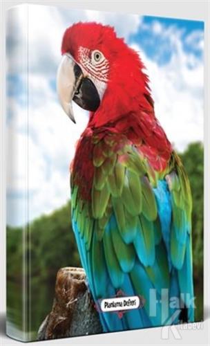 Gökkuşağı - Süresiz Planlama Defteri